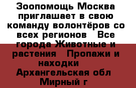 Зоопомощь.Москва приглашает в свою команду волонтёров со всех регионов - Все города Животные и растения » Пропажи и находки   . Архангельская обл.,Мирный г.